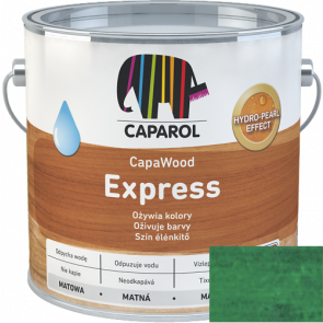 Caparol CapaWood Express 95 / 0,75 L | Green